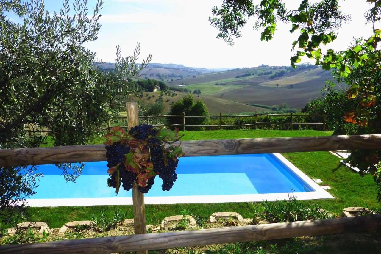 Villa Sant'Elena Morro dʼAlba Exteriör bild