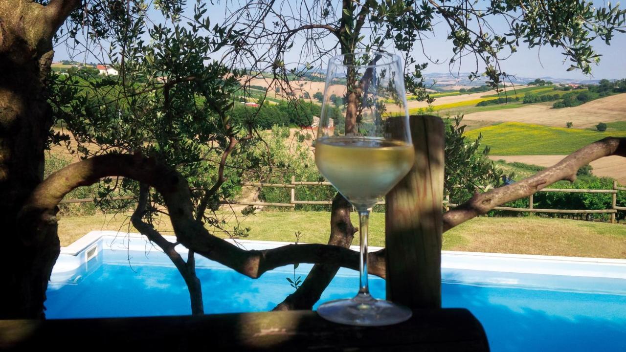 Villa Sant'Elena Morro dʼAlba Exteriör bild